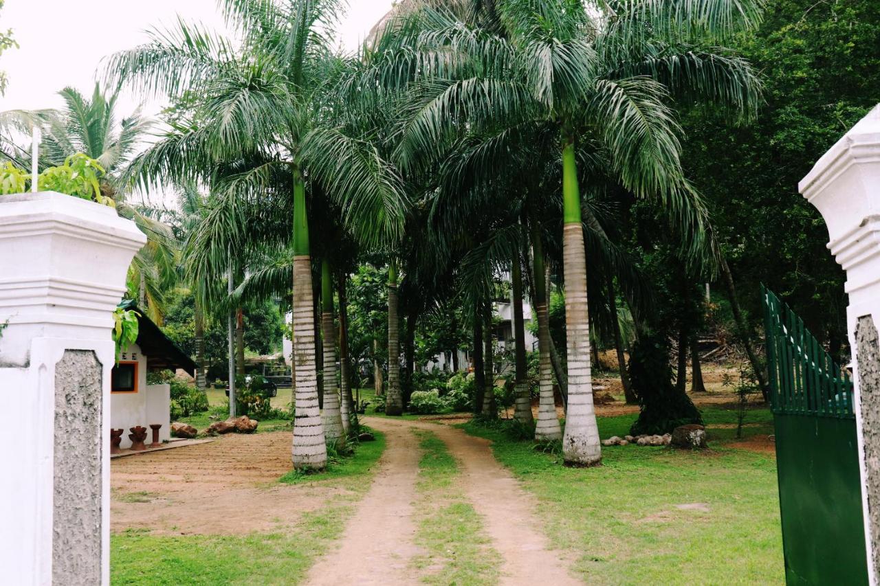 Hotel Sea Avenue - Eco Garden Tangalle Exteriér fotografie