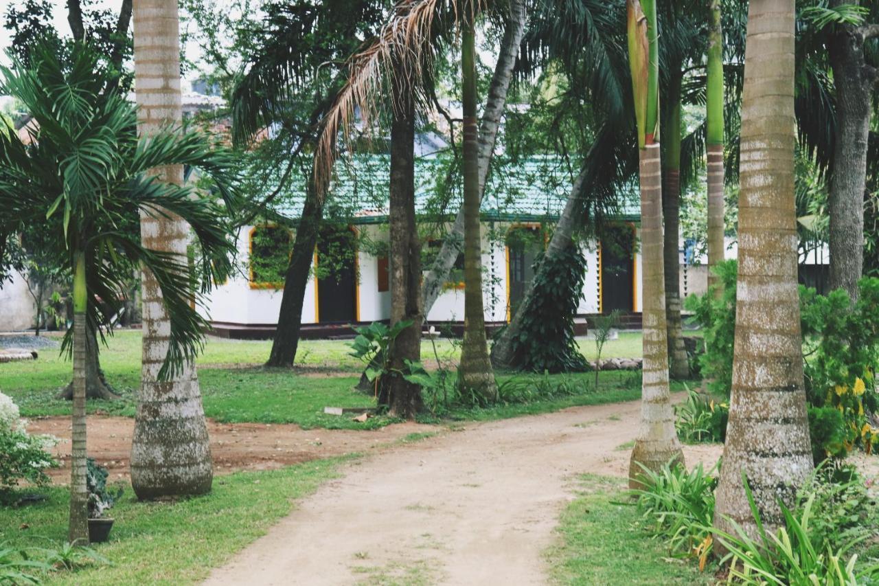 Hotel Sea Avenue - Eco Garden Tangalle Exteriér fotografie