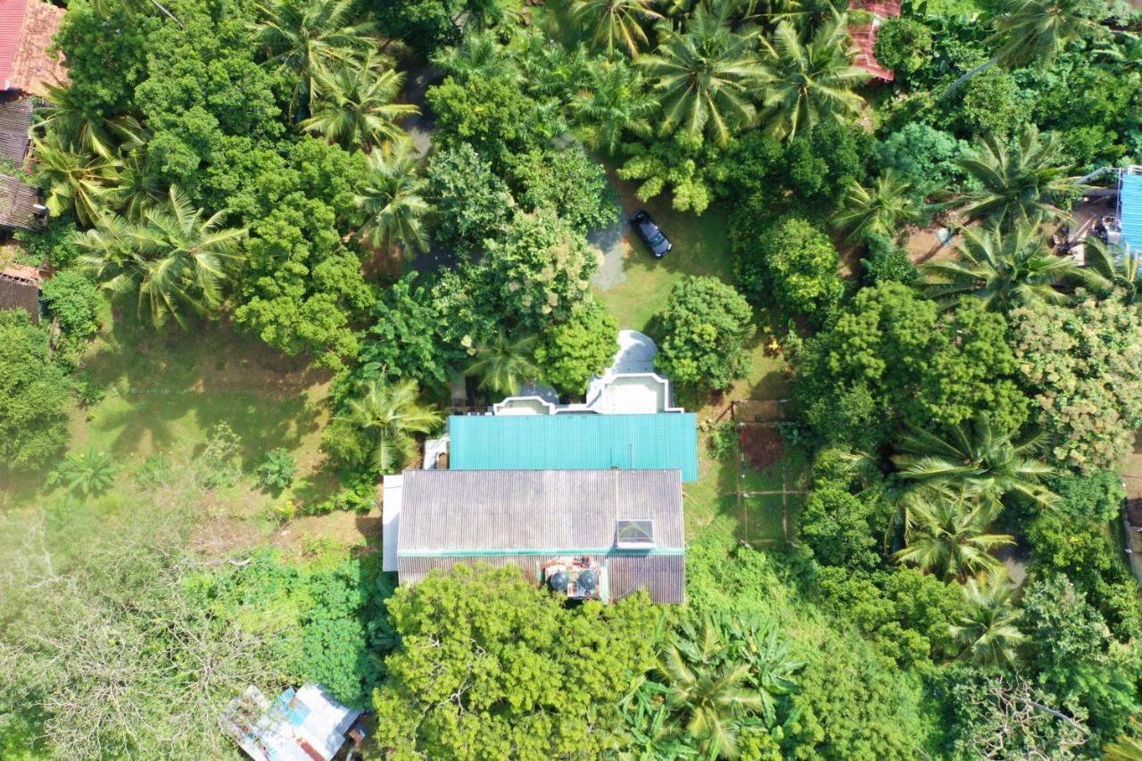 Hotel Sea Avenue - Eco Garden Tangalle Exteriér fotografie